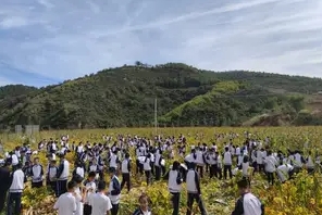 微信截图_20240104093701.png